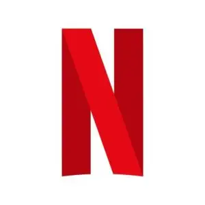 Netflix Perfil Pantalla