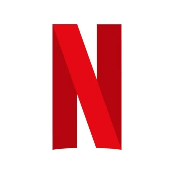 Netflix Perfil Privado